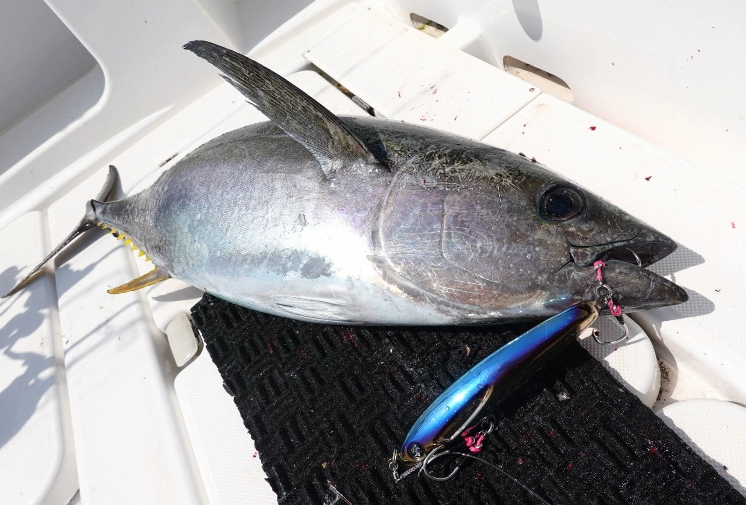 2021 Hibiki X Livre Lapis 210 - Image 20