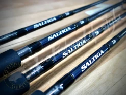 2021 Daiwa Saltiga C Rods