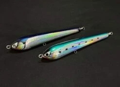 2021 CB One Zorro 200