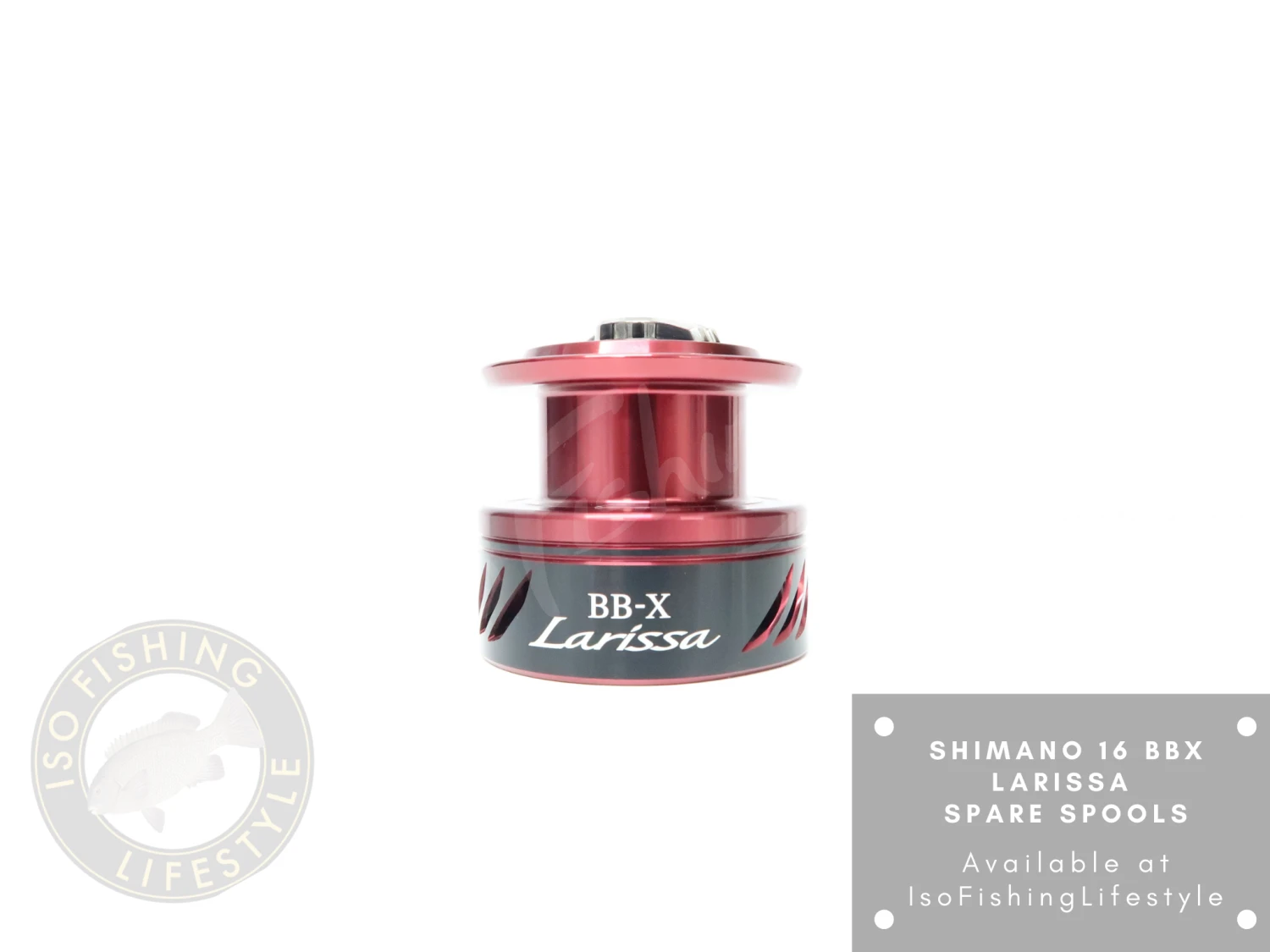 Shimano 16 BBX Larissa Spare Spool C3000