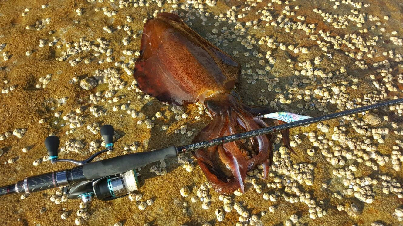 Delux Amigo Super PE Braid 150m Spool - Image 7