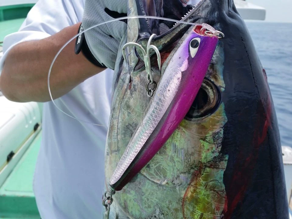 CB One 2022 Dixon 200mm - Image 6