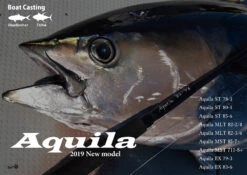 Ripple Fisher Aquila ST 85-6