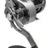 Daiwa Saltiga Star Drag Overhead