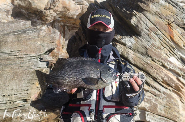 Sunline V-Hard Fluorocarbon Leader 50m - Image 3