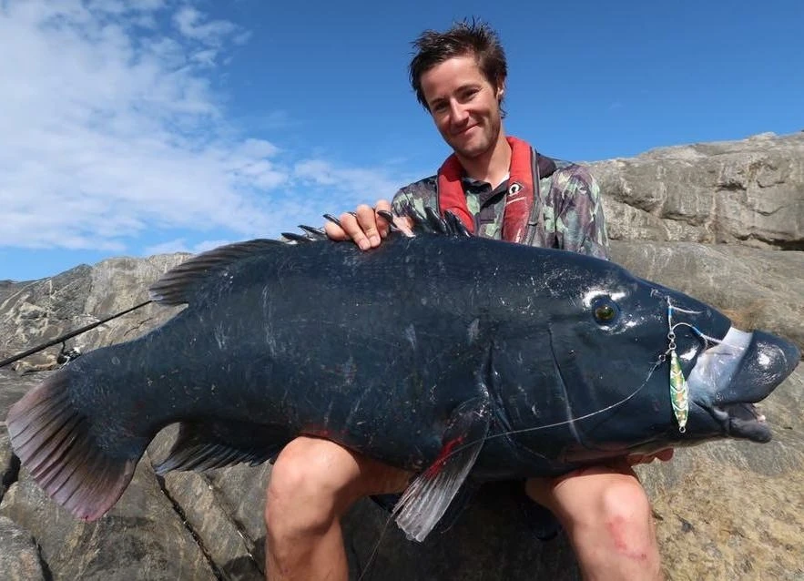 Ocean's Legacy 2020 Specialist Shore Rods (Spin) - Image 5