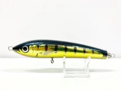 Carpenter Bluefish BF 60 - 170 Diablo Dark Blue Gold Stripe