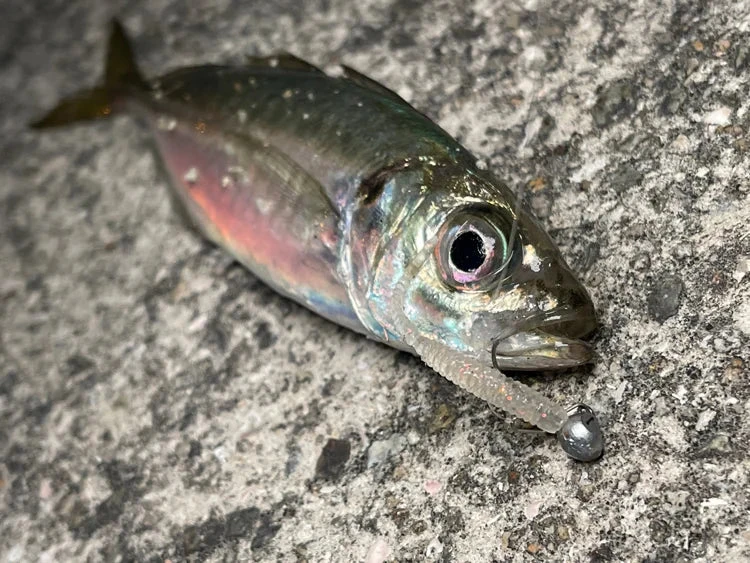 Magbite Aji Killer Feel Jighead - MB09 - Image 6