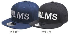 Palms 2022 3D Style Flat Cap PA-3DSFC