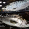 Ripple Fisher SilverStream 97 Red Eye
