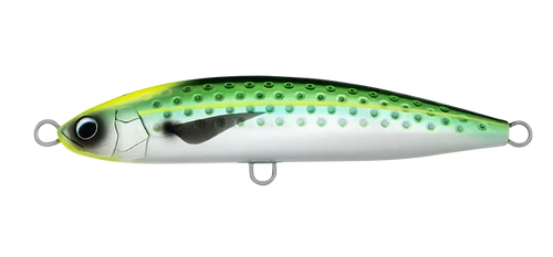 Daiwa Saltiga Rough Ride - Image 7