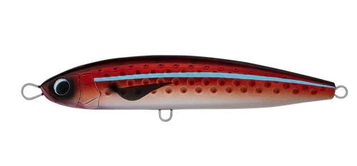 Daiwa Saltiga Rough Ride - Image 11