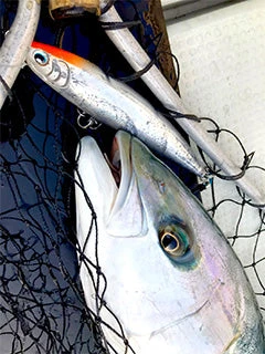 Daiwa Saltiga Dive Star 220F Stickbait - Image 9