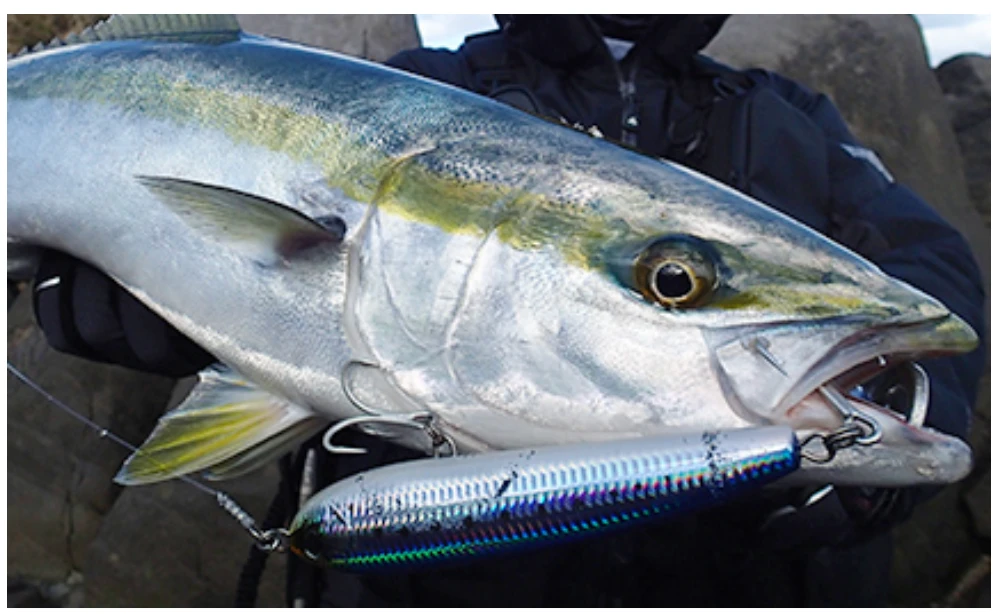 DUEL HARDCORE Bullet Dive - Image 2