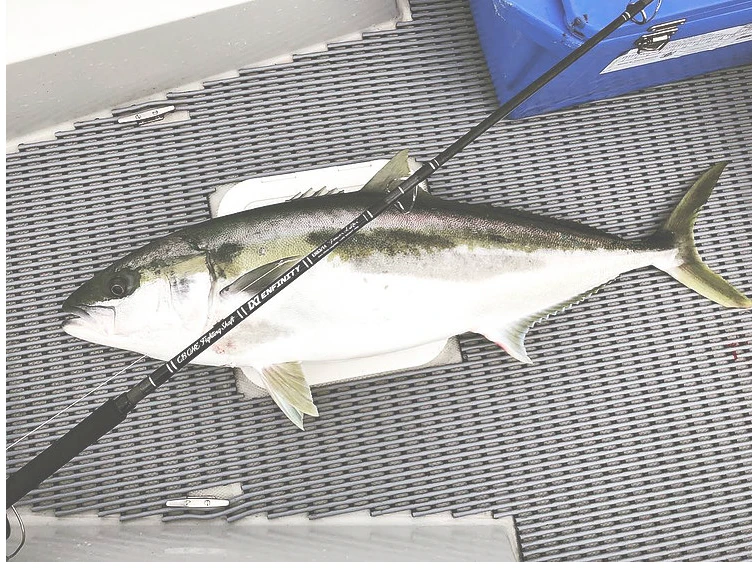 CB One Enfinity EN80/16 - Ultimate Dreamer - Image 4