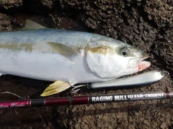 MC Works RB103XR-T SP