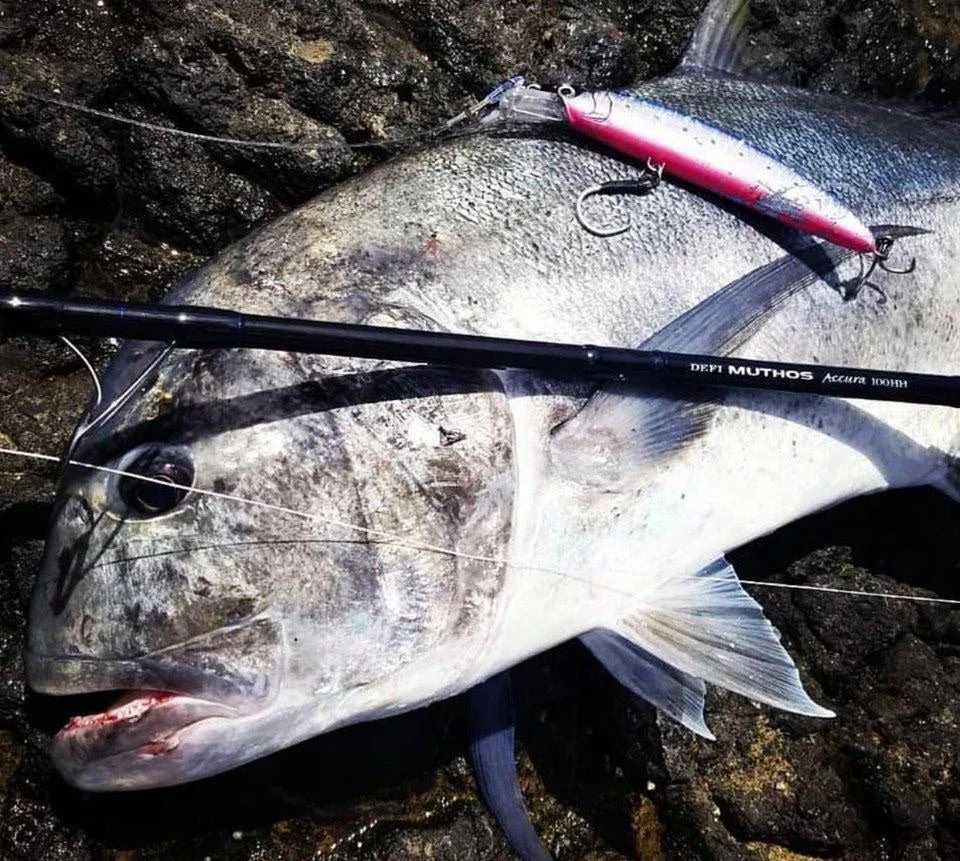 2019 Maria Boar SS195 85g - Image 6