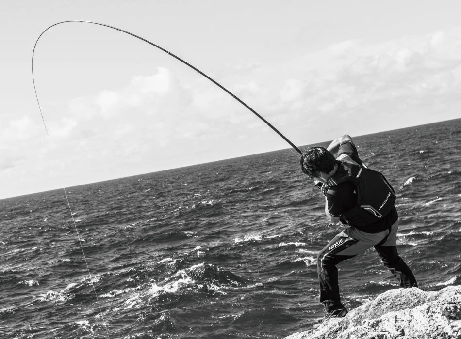 2018 Shimano Basis ISO BG - Image 5