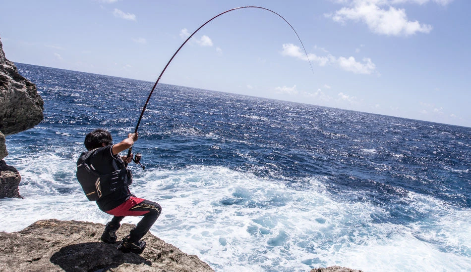 2018 Shimano Basis ISO BG - Image 4