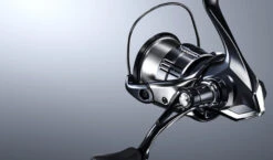 2019 Shimano Vanquish (NEW SIZES)