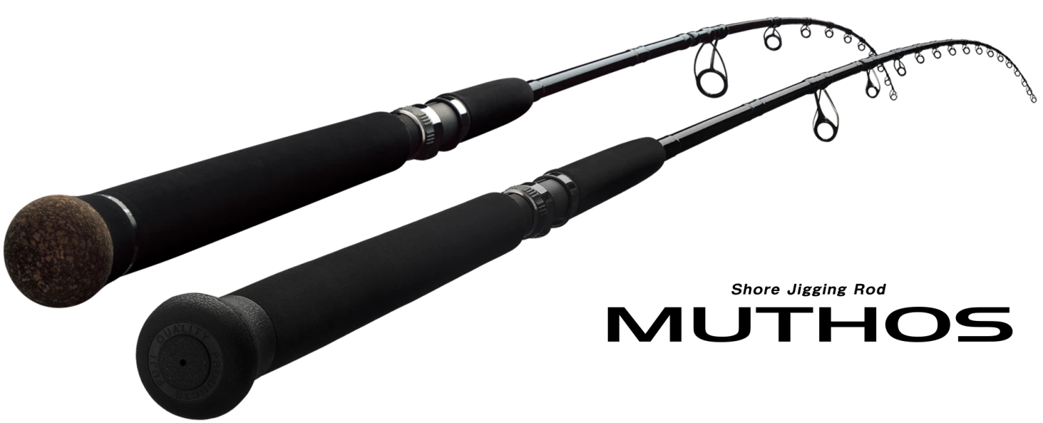 Zenaq Defi Muthos Accura 100H K Guide