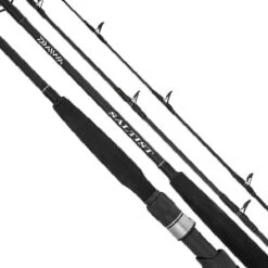 Daiwa Saltist BW