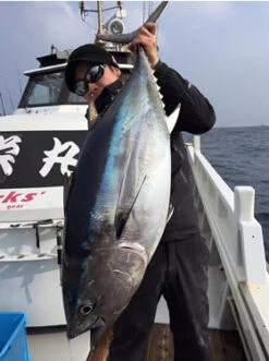 MC Works Slow Hand SH884PD