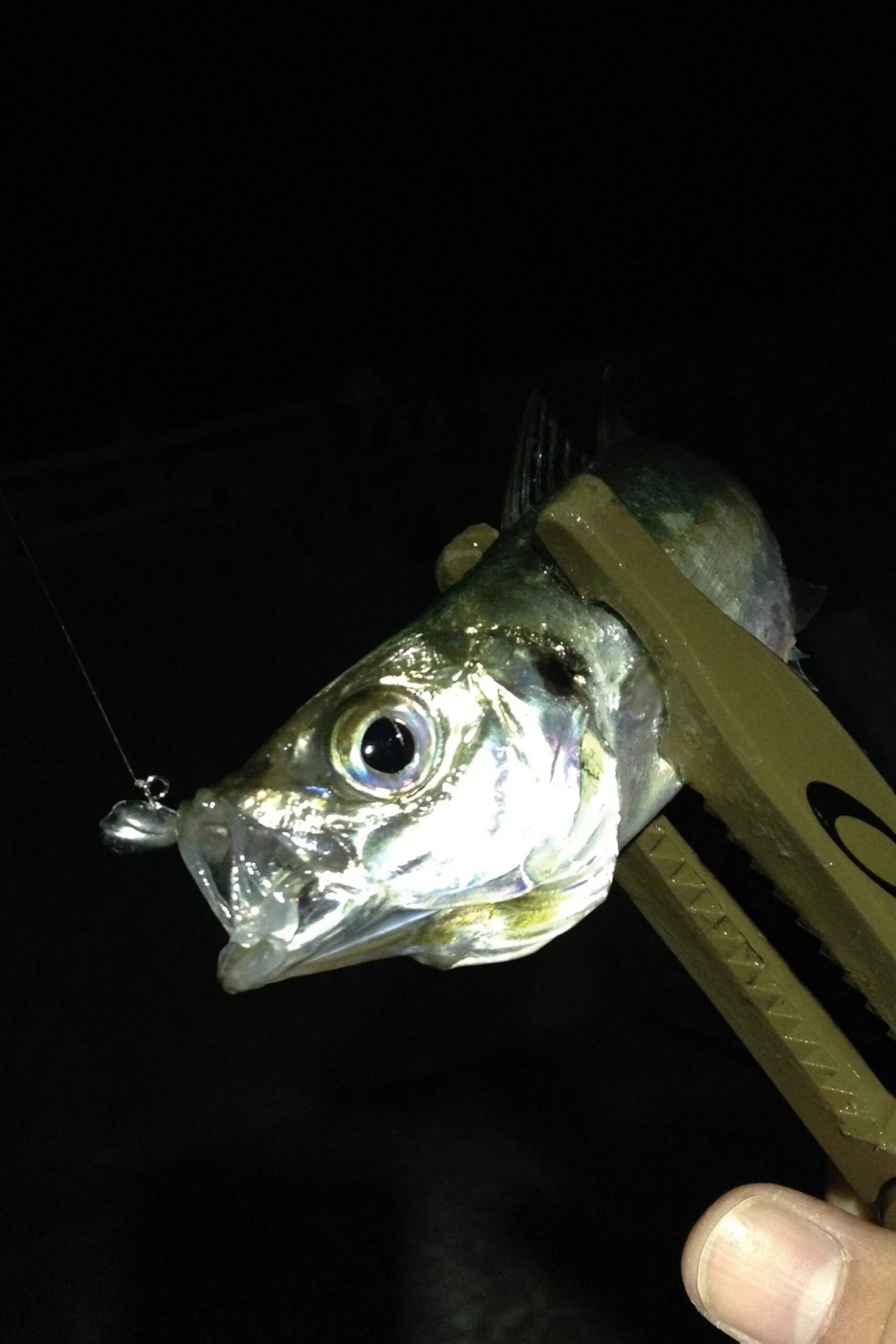 Decoy Aji Drive Jighead SV-55 - Image 6